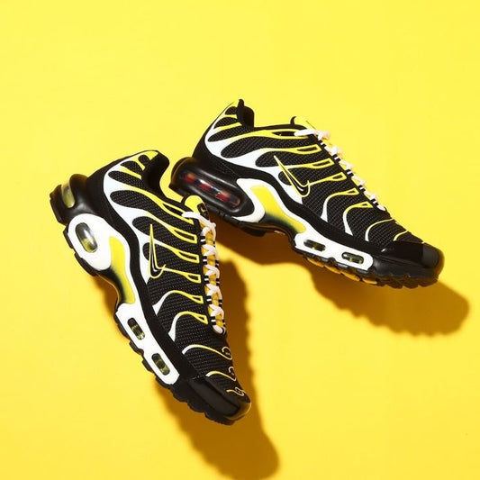 Air Max Plus